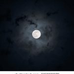 澳客体验:如何在澳大利亚享受完美假期 14mqy6y