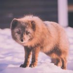 669开奖中奖金额揭晓:幸运得主喜获多少奖金? mk3m2zsp